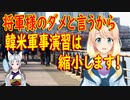 【韓国の反応】北の委員長がはっきりと訓練はダメだと言った！韓米軍事演習を反対する韓国議員を押し切り規模を縮小して行われる事に【世界の〇〇にゅーす】