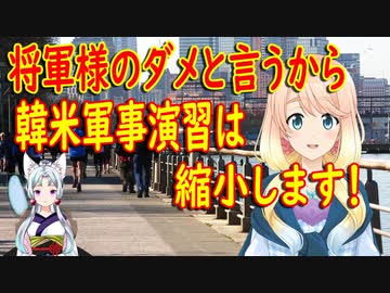 【韓国の反応】北の委員長がはっきりと訓練はダメだと言った！韓米軍事演習を反対する韓国議員を押し切り規模を縮小して行われる事に【世界の〇〇にゅーす】