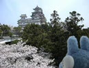 トトロと自転車で旅に出ます～１２日目・前編～（兵庫）姫路城観光