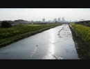 【ボイロラジオ】いっか　♯9【楽曲紹介】