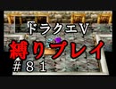 【ドラクエ5 縛りプレイ】せっかく魔界に来たんですもの、まずはアレだよね！Part81【アルカリ性】