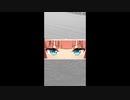 ウマ娘　サイレンススズカ　天皇賞秋　１枠１番