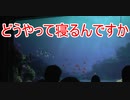 どうやって寝るんですか？【タートルトーク】東京ディズニーシー