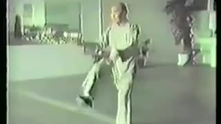 白鶴拳 黃性賢大師 鳴鶴拳