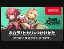 【スマブラSP】ホムラ/ヒカリのつかいかたを見守る