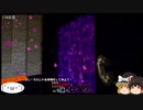 【MINECRAFT】No38 地獄に行く前に色々放出します【検索禁止】