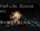 【プレイ Half-Life:Source】25.地底軌道《実験を失敗したときの一つの事例》