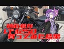 初心者がレブル２５０買ってみた結果
