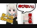 伸びない新人Vtuberがあの有名Vtuberに伸びる方法を相談してみた結果…