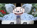 【ポケモン剣盾】世代が飛び飛び知識の俺がポケモンソード初見プレイ その57【実況】