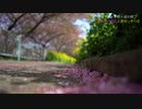 三浦半島　小松が池公園