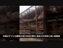 中国のアフリカ豚熱と少子高齢化の状況が悪化