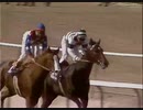 1986年 BCマイル　ラストタイクーン