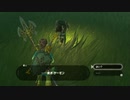 【縛り実況】再走かるしばマスモブレワイ祠巡りとコログ探し編part140。【的な何か】