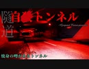 【心霊】焼身自殺があったトンネル!?某短大下のトンネル【ゲッティ】