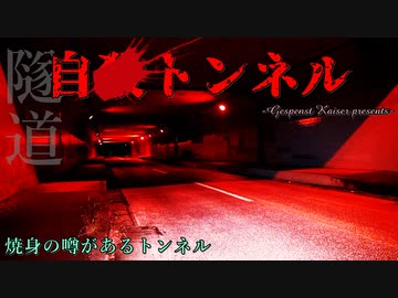 【心霊】焼身自殺があったトンネル!?某短大下のトンネル【ゲッティ】