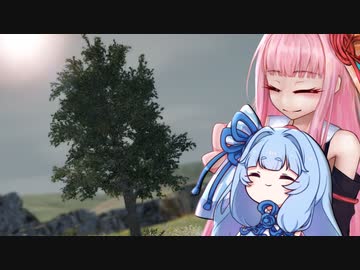 あおいちゃと、木