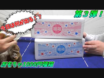 今回もお得になれるのか！？おもちゃの1000円福箱開封の時間だ！！【第３回】