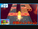 【スーパーマリオ 3Dワールド】のんびりプレイ part23【SnowSky】