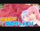 ことのはGoToドライブ　〜 飛騨高山で飛騨牛しゃぶ 〜【VOICEROID車載】