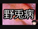 【ゆっくり朗読】ゆっくりさんと不思議な病気 その318