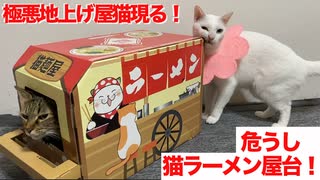 猫ラーメン職人、極悪白猫コンビに地上げにあう