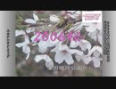 上小テレビアーカイブ　2006年上田城の桜