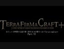 「ホビットの料理で王国を取り戻すまでの間をつなぐTerrafirmaCraft Plus」part.13
