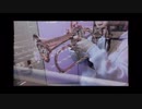 【エヴァンゲリオン】One Last Kiss トランペットカバー