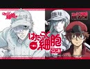 【ゲスト：長縄まりあ】一緒に「はたらく細胞」らじお　第4回　2021年02月17日放送