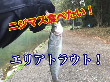 【エリアトラウト】ニジマスが食べたい！よし！釣りに行こう！【もっち釣動組合＃７５】