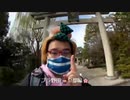 【野田草履P】晴明神社を参拝しにきた【ツイキャス】