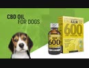 Natural CBD Oil for Pets | King Kanine