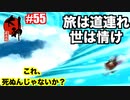 追い続けていれば、願いは叶う。シャチ丸巻き込んでごめん！！猫派のゲーム実況初心者が『大神絶景版』で犬派になっていく　初見プレイPart55