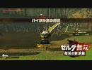 [初見] ゼルダ無双厄災の黙示録 一応実況プレイかも！ 第35回