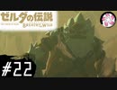 【BotW＃22】凡人が行くシナリオ中心の息吹旅