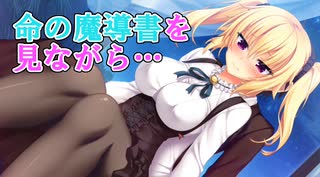 【巻頭カラー】ノラと皇女と野良猫ハート_第36回【PC実況】