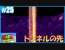 【スーパーマリオ 3Dワールド】のんびりプレイ part25【SnowSky】