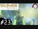 【BotW＃23】凡人が行くシナリオ中心の息吹旅