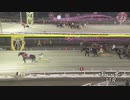 2021年3月8日帯広競馬11R アクアマリン特別(OP-2) カンシャノココロ