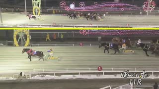 2021年3月8日帯広競馬11R アクアマリン特別(OP-2) カンシャノココロ