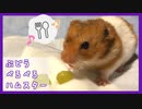 【癒し】はじめてブドウを食べるハムスター【コル】
