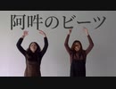 【柴と葵】阿吽のビーツ 踊ってみた【初】