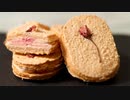 【not火災報知器】ガチ美味い桜のダックワーズの作り方。