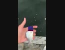 魚になったらっだぁ【MAD】