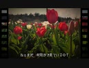 想い出の日々～Dear with you / feat. 初音ミク