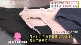 GUの1000円台「吸水ショーツ」洗って使って荷物も減