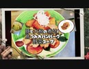 「晩御飯料理」簡単煮付け、つみれハンバーグ、汁「part24」