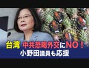 【China Insider】　台湾　中共恐喝外交にNO！小野田議員も応援修正