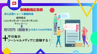 梨楠動画広告部-自社07求人03